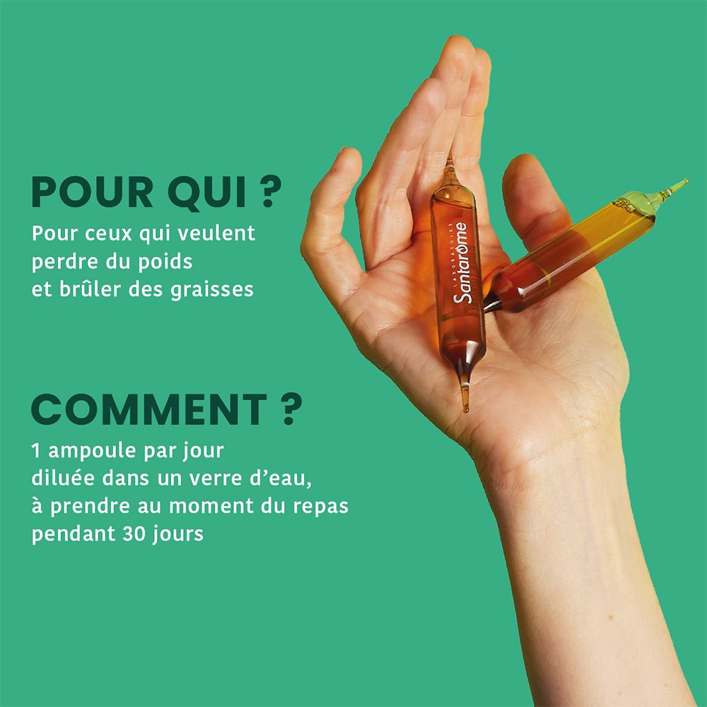 SANTAROME Bio Programme ultra minceur