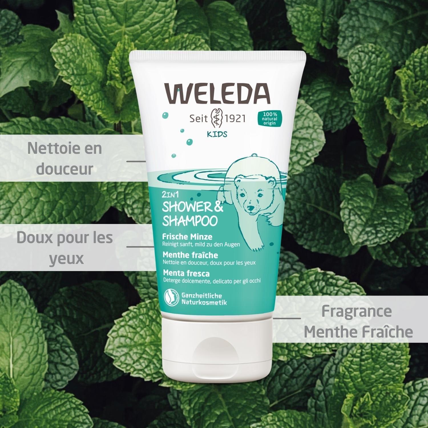 Tube de Weleda Kids 2en1 Crème de douche devant des feuilles de menthe. Texte: Frische Minze, 2en1 Shower & Shampoo. Ours polaire.