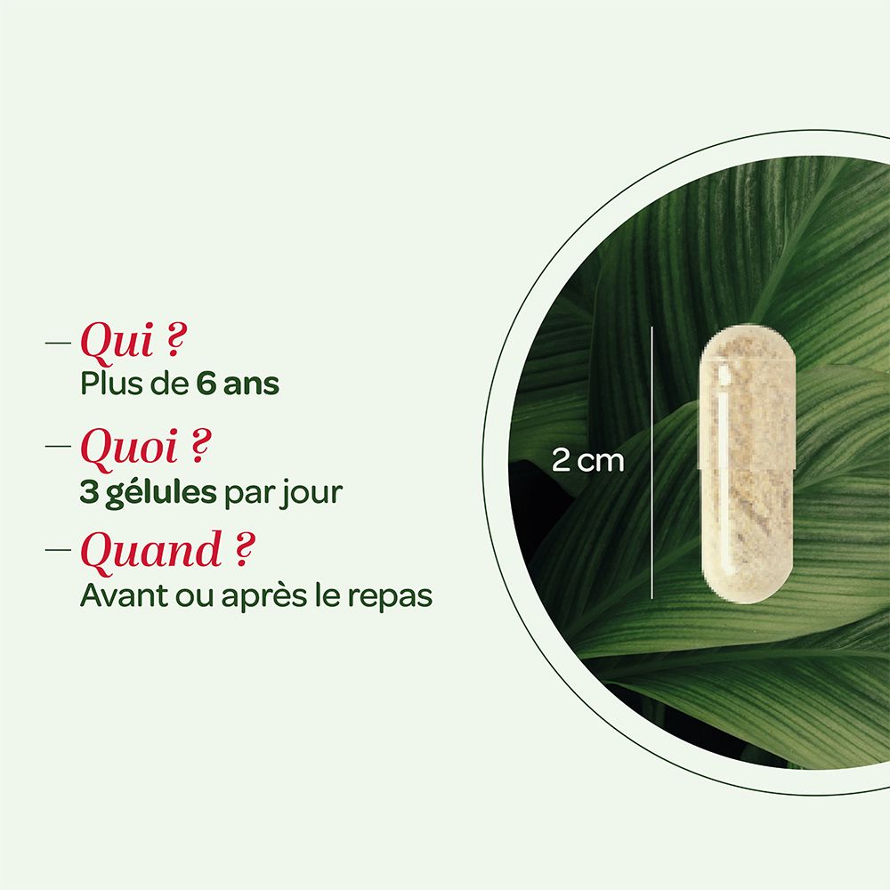 Gélule à côté de texte. Texte : Plus de 6 ans. 3 gélules par jour. Avant ou après repas. Gélule de 2 cm.