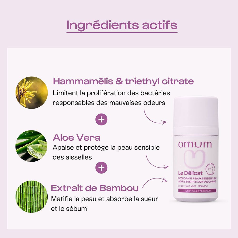 Ingrédients actifs du déodorant OMUM: Hamamélis, Aloe Vera, Bambou.