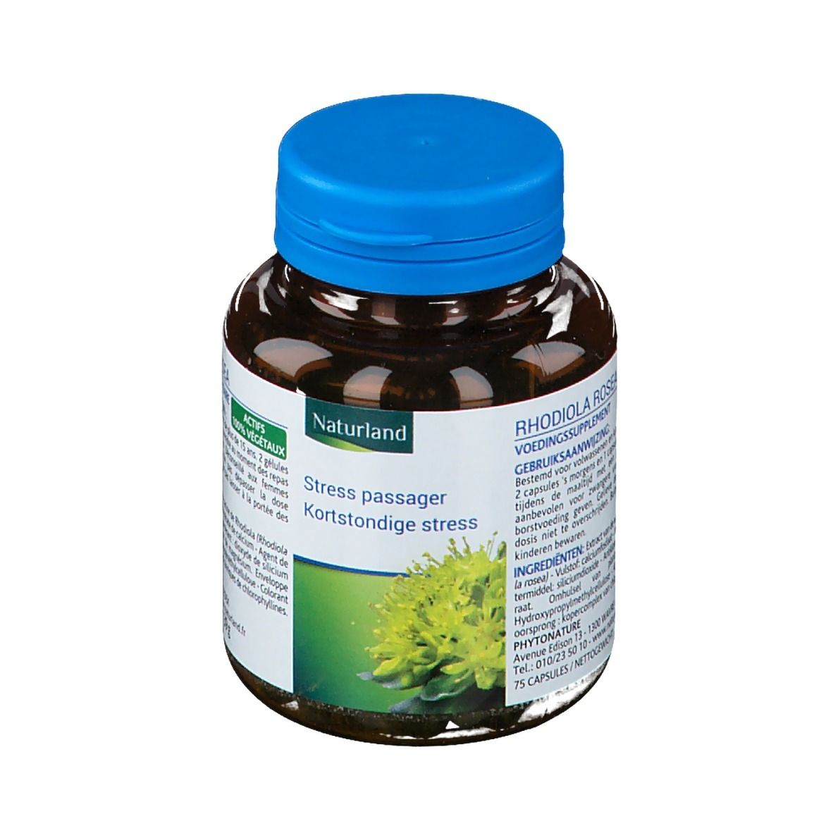 Naturland Rhodiola rosea