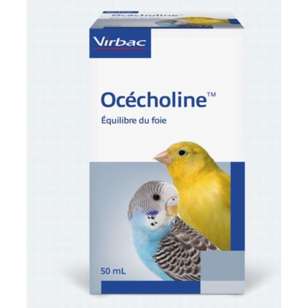 OCECHOLINE GTT BUV FL 50ML