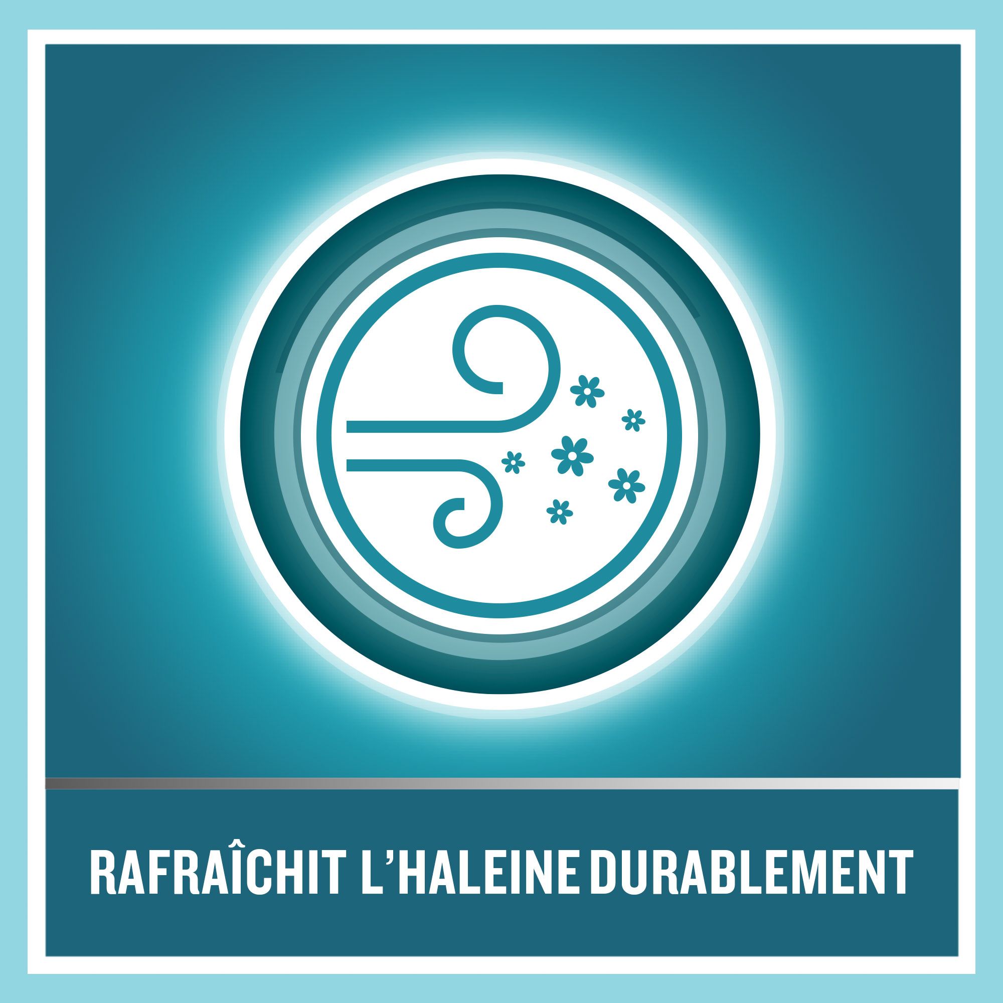 Symbole : vent et fleurs dans un cercle. Texte : Rafraîchit l'haleine durablement.