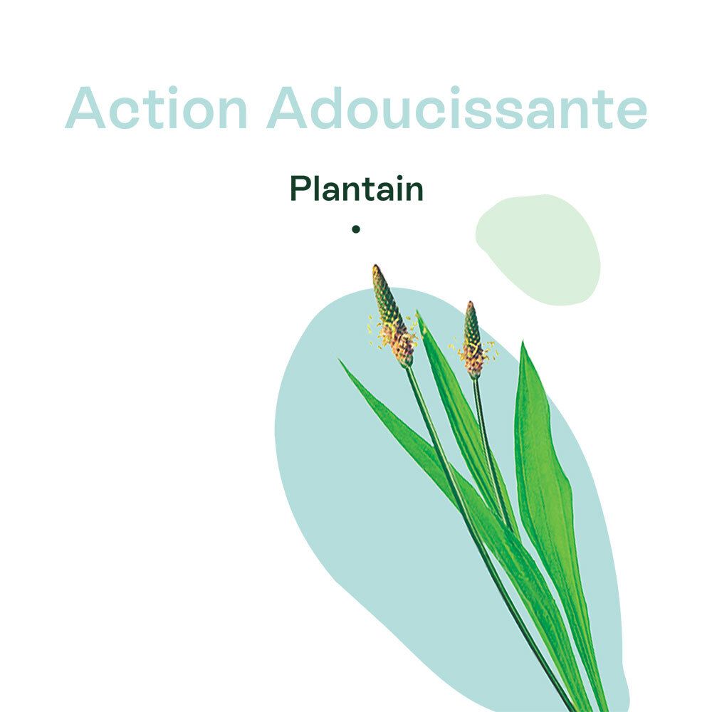 Sirop aux essences