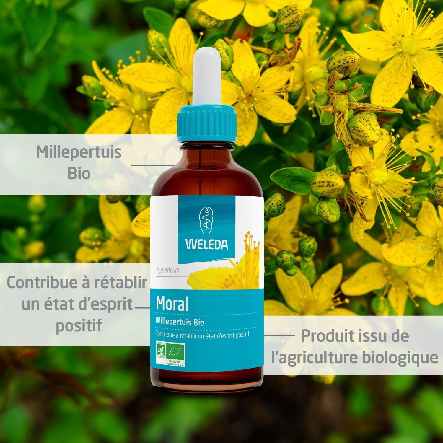 Flacon brun avec pipette et fleurs jaunes. Logo WELEDA, Millepertuis Bio, texte: Moral, contribue à un état d'esprit positif. Label AB-Bio.