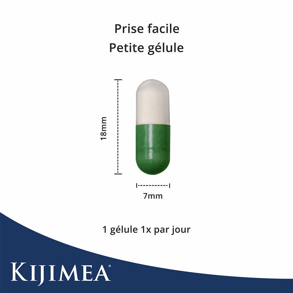 Graphique avec questions : Diarrhée ? Maux de ventre ? Ballonnements ? Texte : traitement du syndrome du côlon irritable.