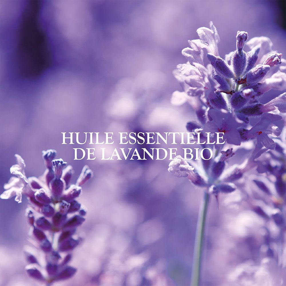 SANOFLORE Huile-barrière Cica natura certifiée Bio pour lèvres gercées et abîmées