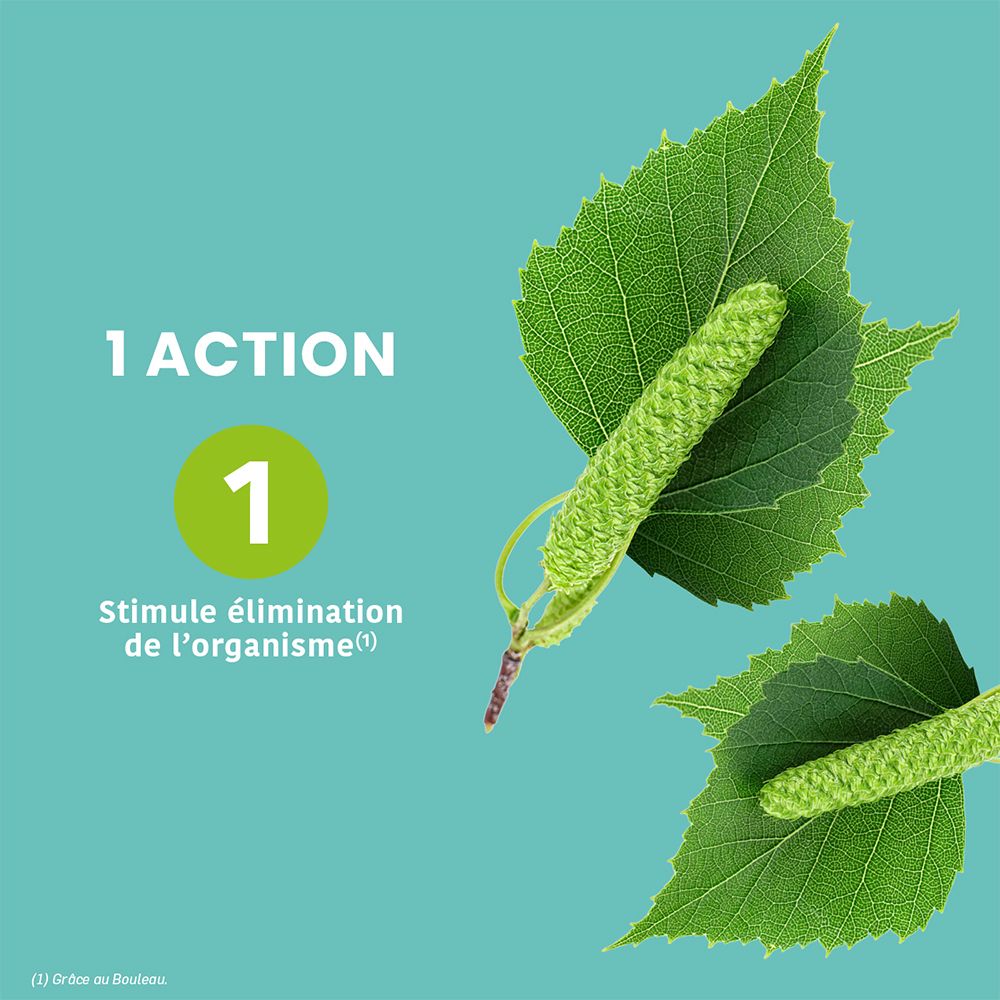 Gros plan de feuilles et chatons de bouleau. "1 Action 1" "Stimule l'élimination de l'organisme".