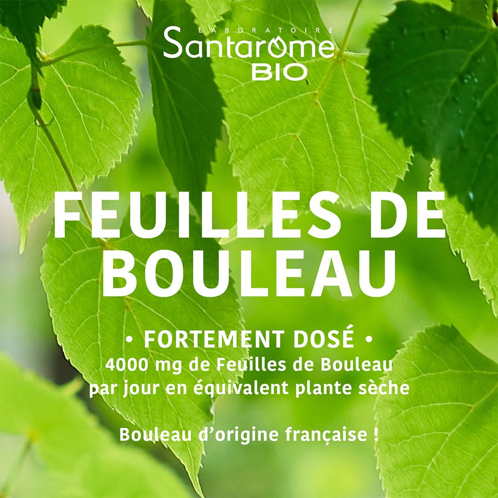 Santarome Bio Jus de Feuilles de Bouleau "Fortement Dosé" avec feuilles de bouleau en arrière-plan.