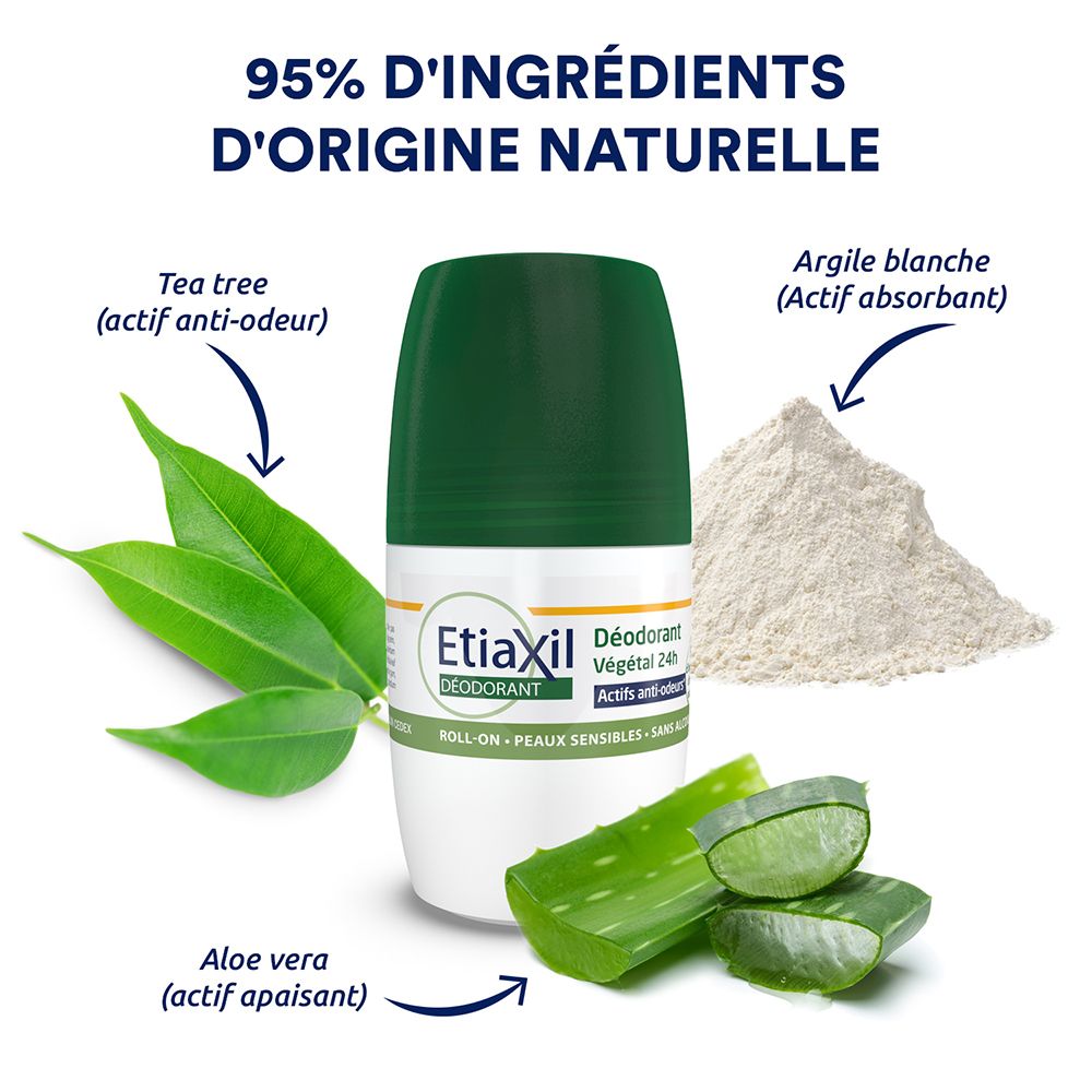 ETIAXIL - Déodorant Végétal Fraîcheur bambou - 24 H - Aisselles - Adapté aux peaux sensibles - Roll-on - Lot de 2