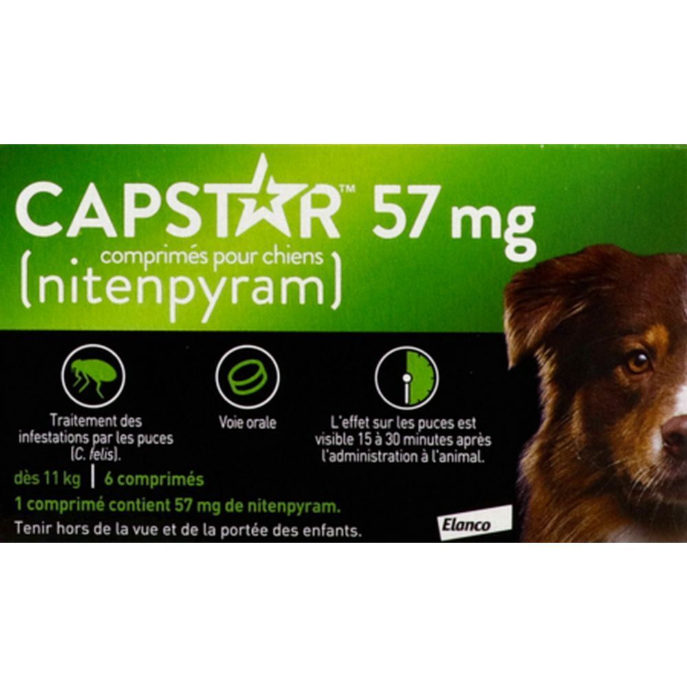 Capstar 57 mg, Comprimé antiparasitaire externe pour chien, bt 6