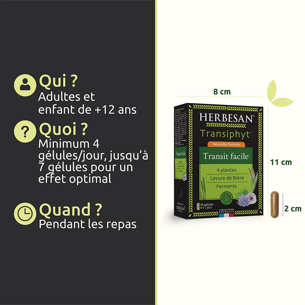 HERBESAN® Transiphyt Infusion Bio