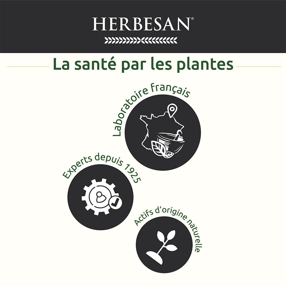 HERBESAN® Transiphyt Infusion Bio