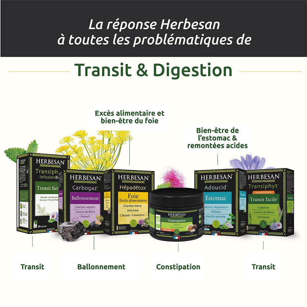 HERBESAN® Transiphyt Infusion Bio