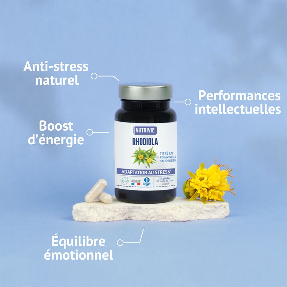 Flacon Nutrivie Rhodiola avec deux gélules et une fleur jaune sur une pierre.