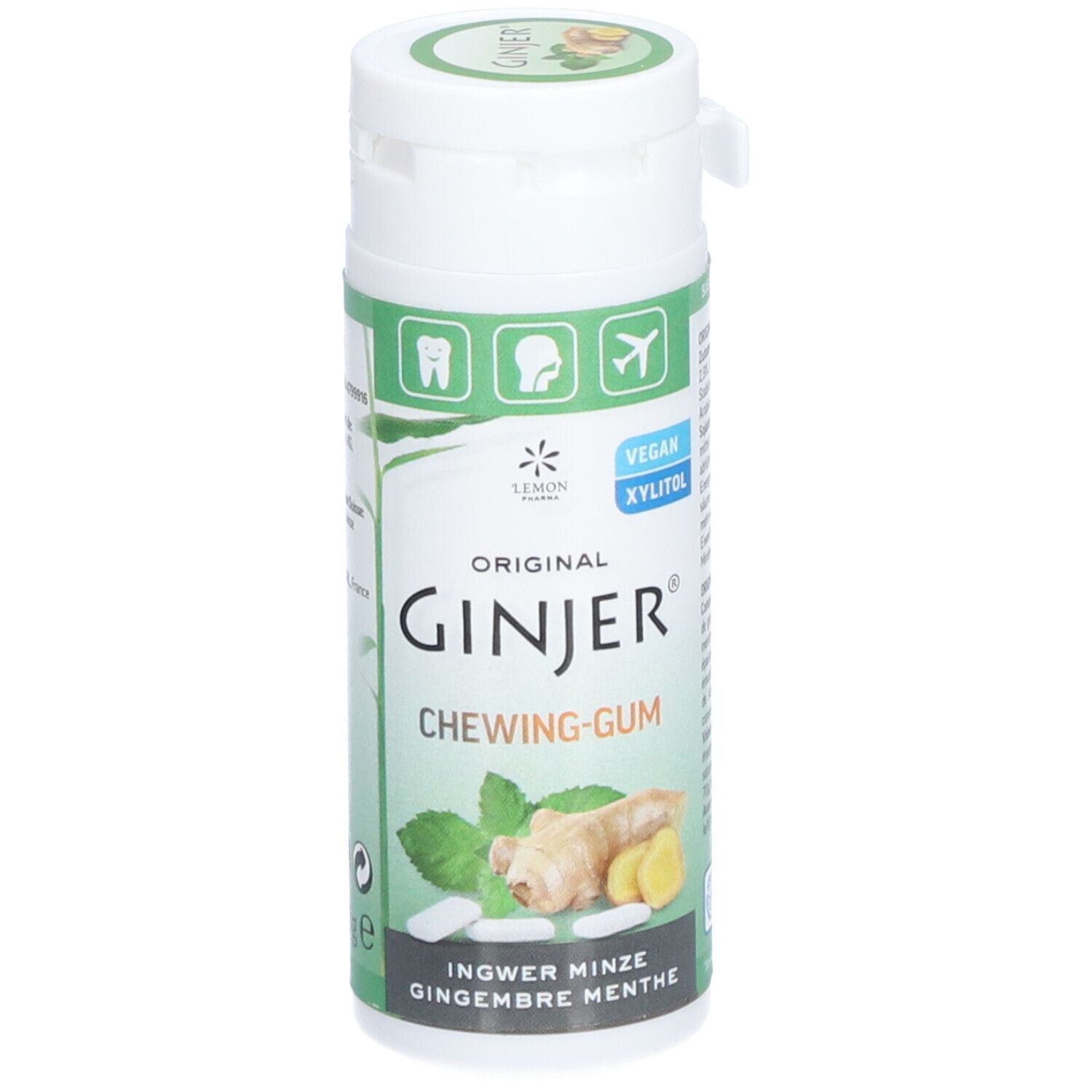 GINJER CHEWING GUM GING/MENTHE 30G