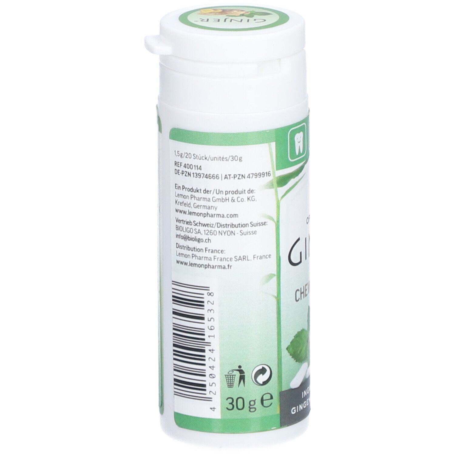 GINJER CHEWING GUM GING/MENTHE 30G