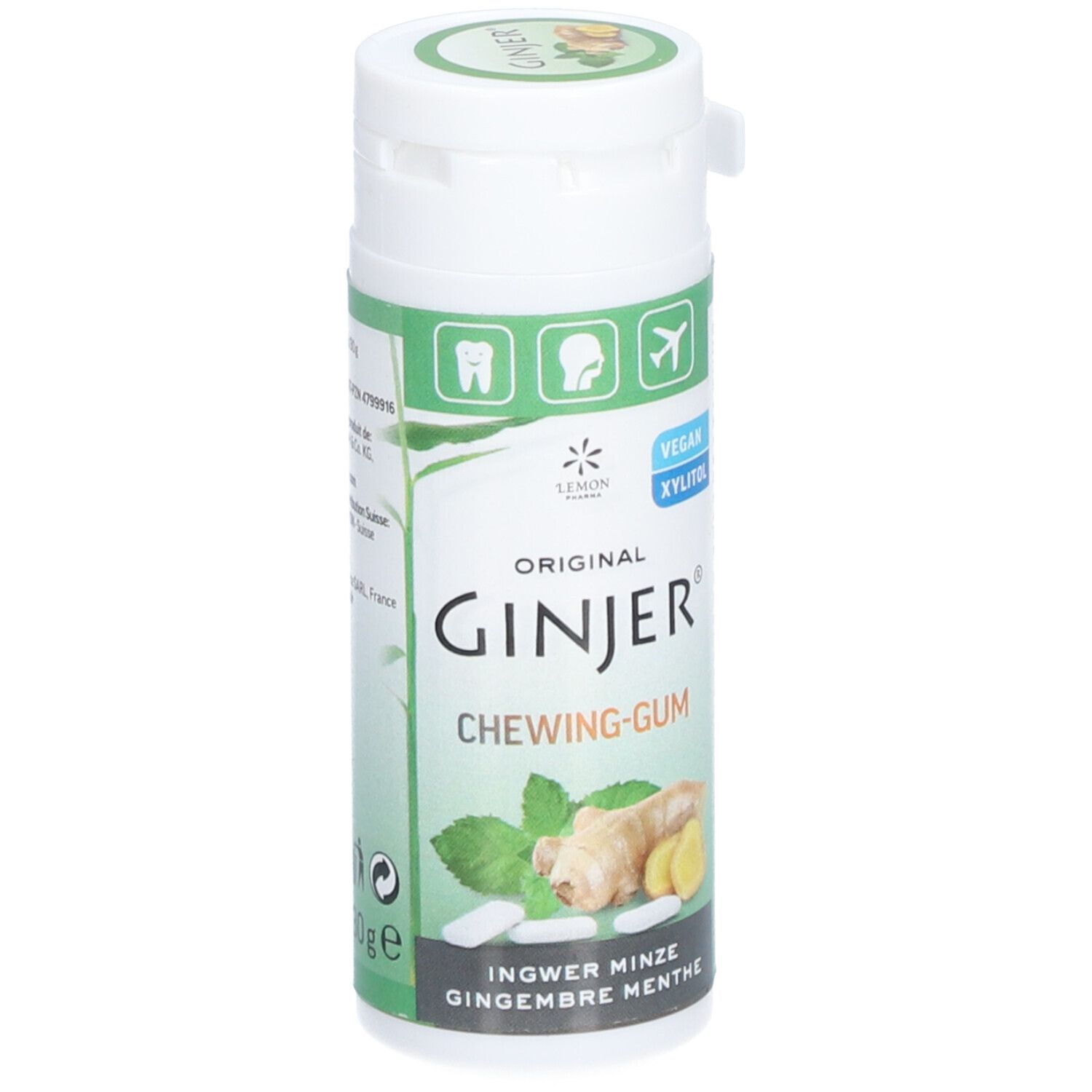 GINJER CHEWING GUM GING/MENTHE 30G