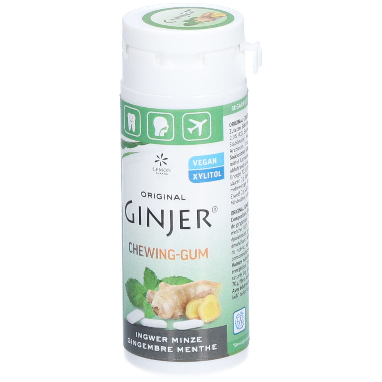 GINJER CHEWING GUM GING/MENTHE 30G