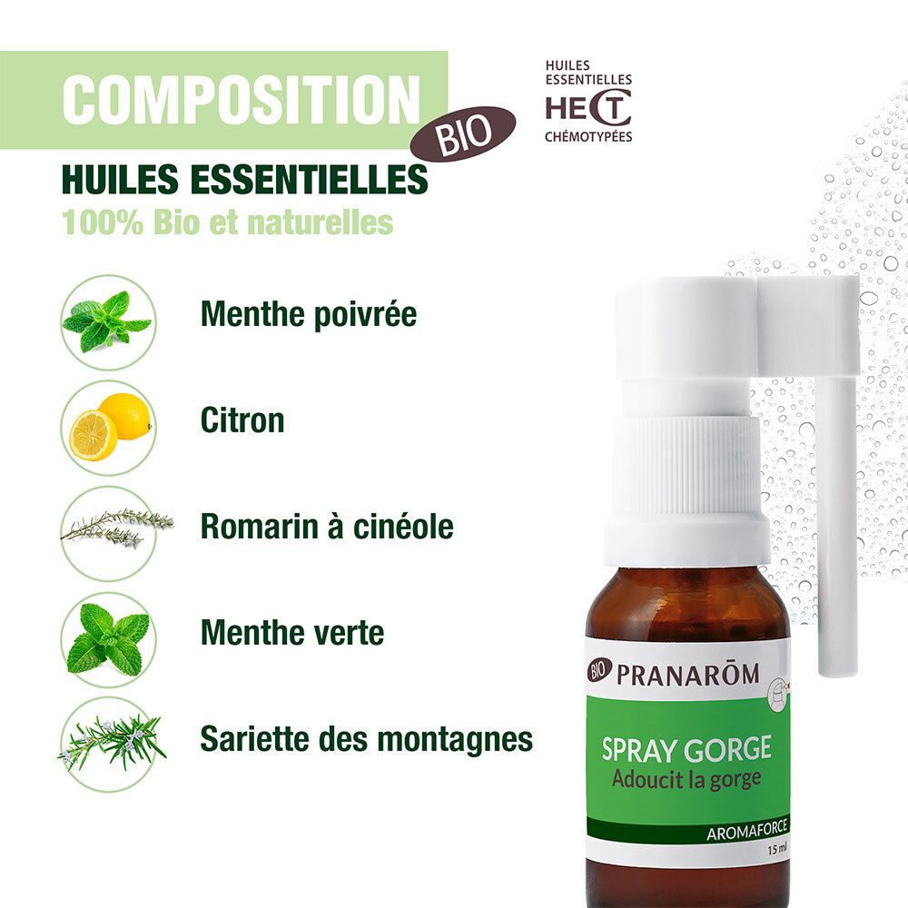 Infographie avec ingrédients. Menthe poivrée, citron, romarin, menthe verte et sarriette des montagnes.