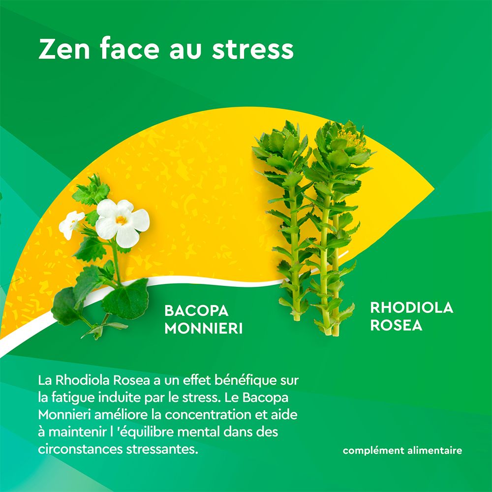 EuphytoseStress® Concentration -Stress ,difficulté de concentration - Bacopa Monnieri et Rhodiola Rosea