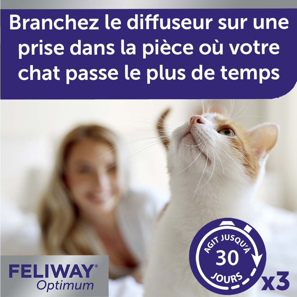 Chat regarde en haut. Diffuseur Feliway Optimum. Agit jusqu'à 30 jours. Près d'un chat.