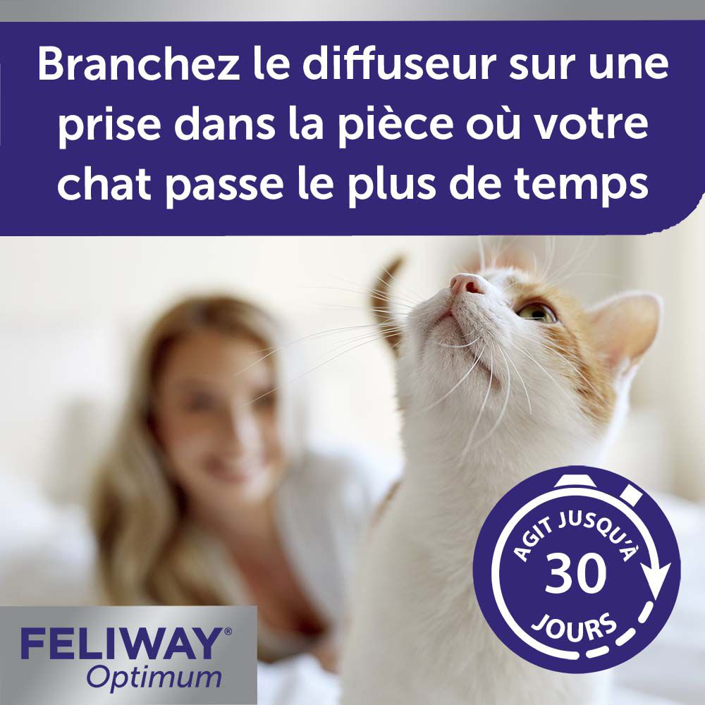 Chat regardant en l'air. Texte: Agit jusqu'à 30 jours. Logo Feliway Optimum. Femme en arrière-plan.
