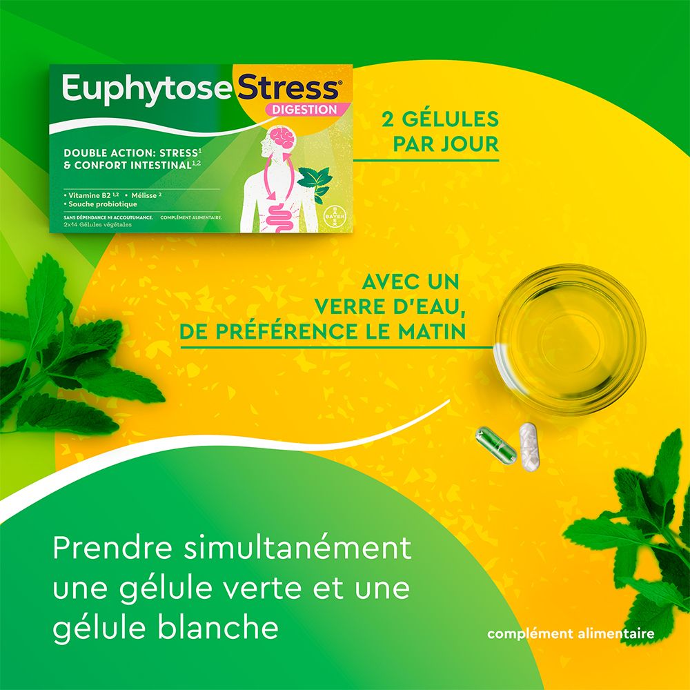 EuphytoseStress® Digestion - Stress et confort intestinal -  Probiotiques, mélisse, vitamine B2