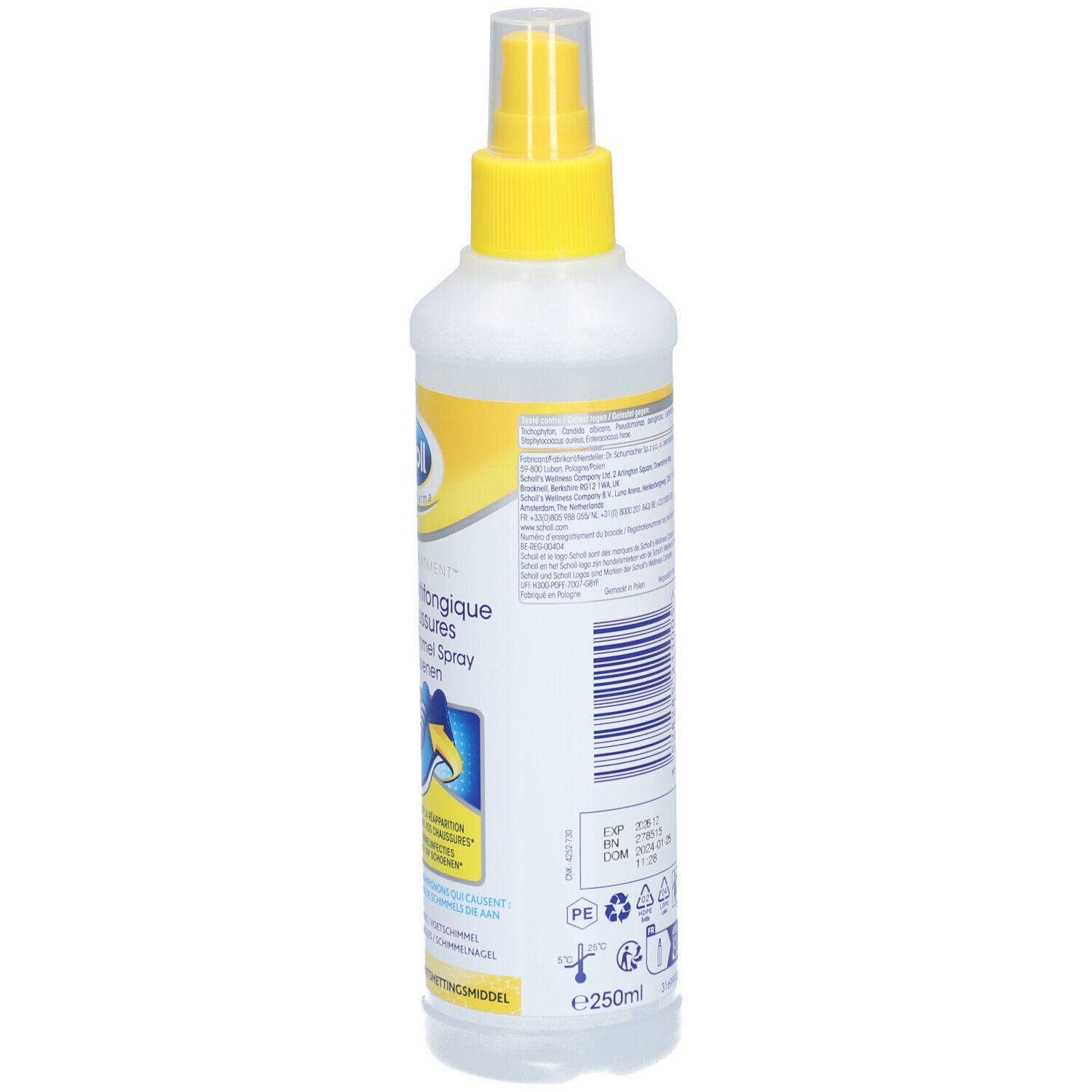 SCHOLL SPR ANTIFONGIQUE 250ML