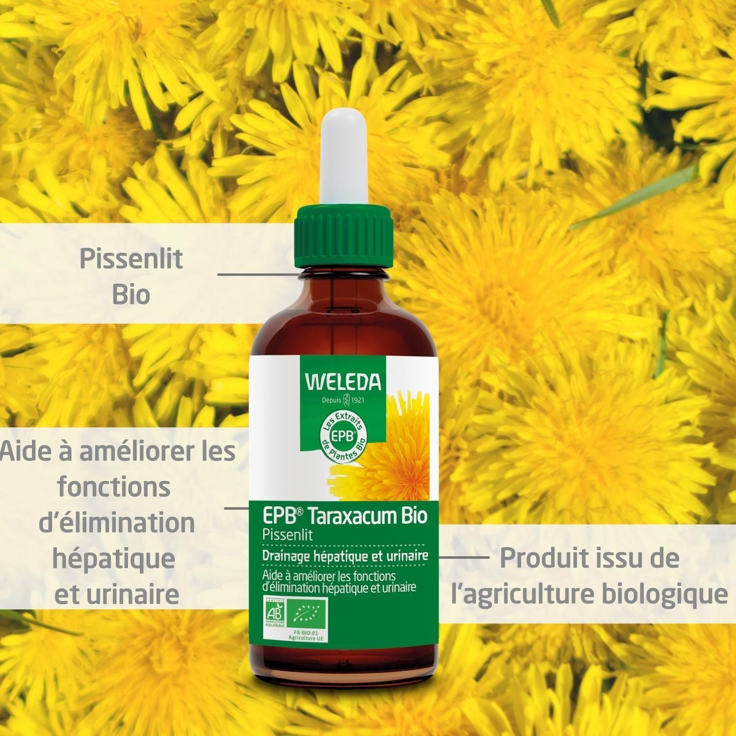 WELEDA EPB® Taraxacum Bio Drainage hépatique et urinaire