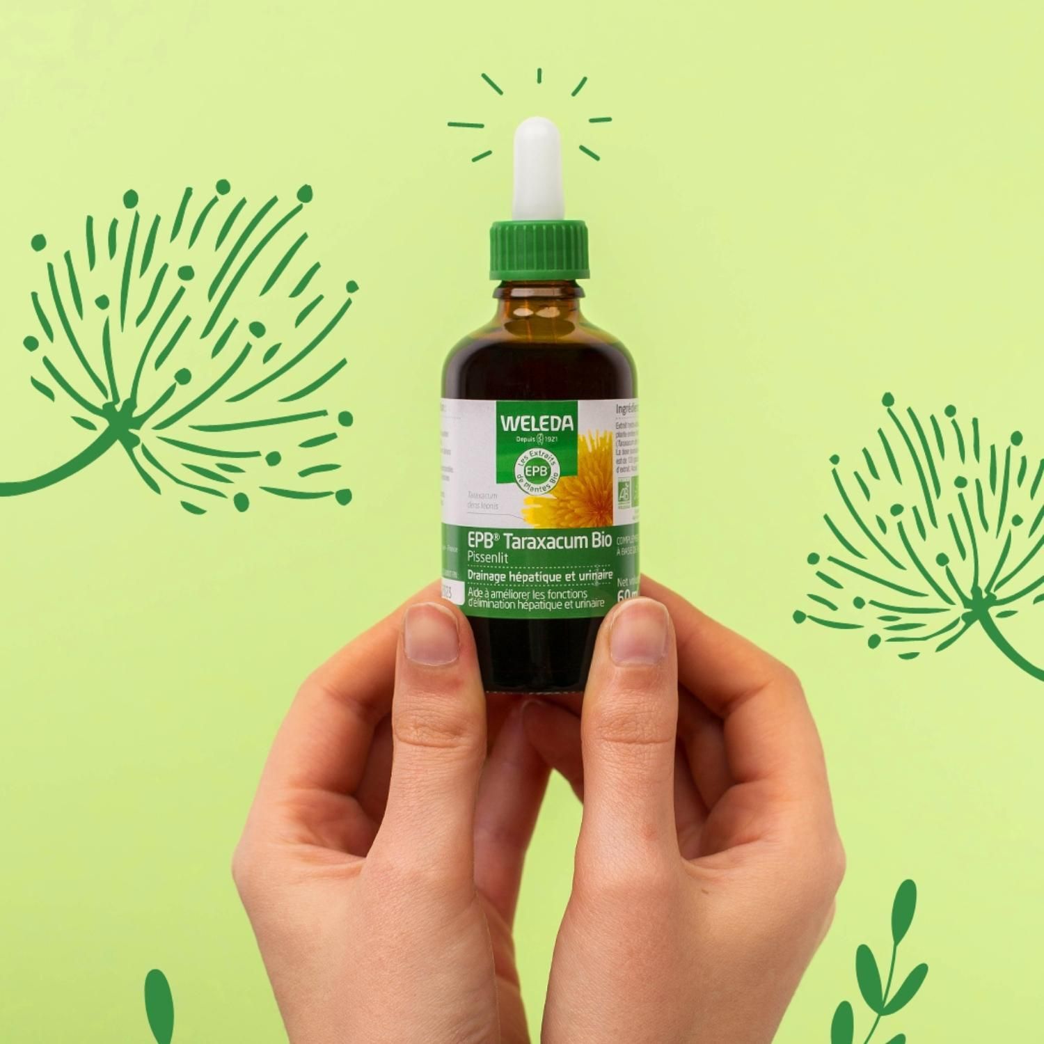 WELEDA EPB® Taraxacum Bio Drainage hépatique et urinaire