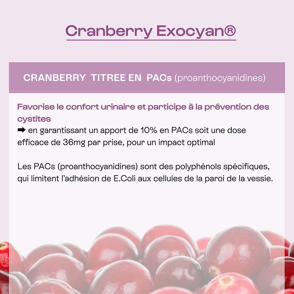 Cranberry Exocyan® pour Omum L'Intime. Extrait de Cranberry titré en PACs pour le confort urinaire et la prévention des cystites.