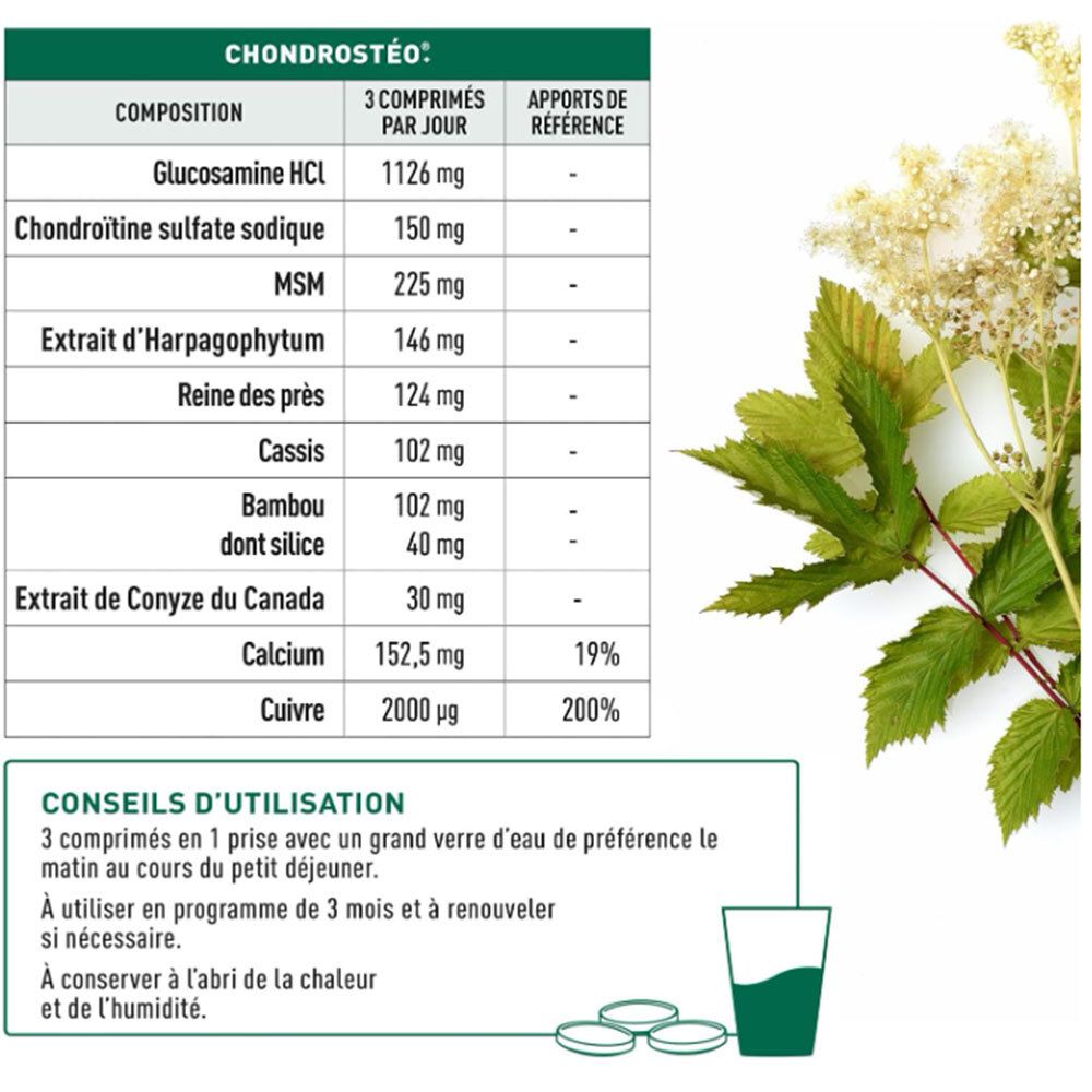 Tableau des ingrédients de Chondrostéo. Contient glucosamine, chondroïtine, MSM, harpagophytum, etc. Recommandations d'utilisation.
