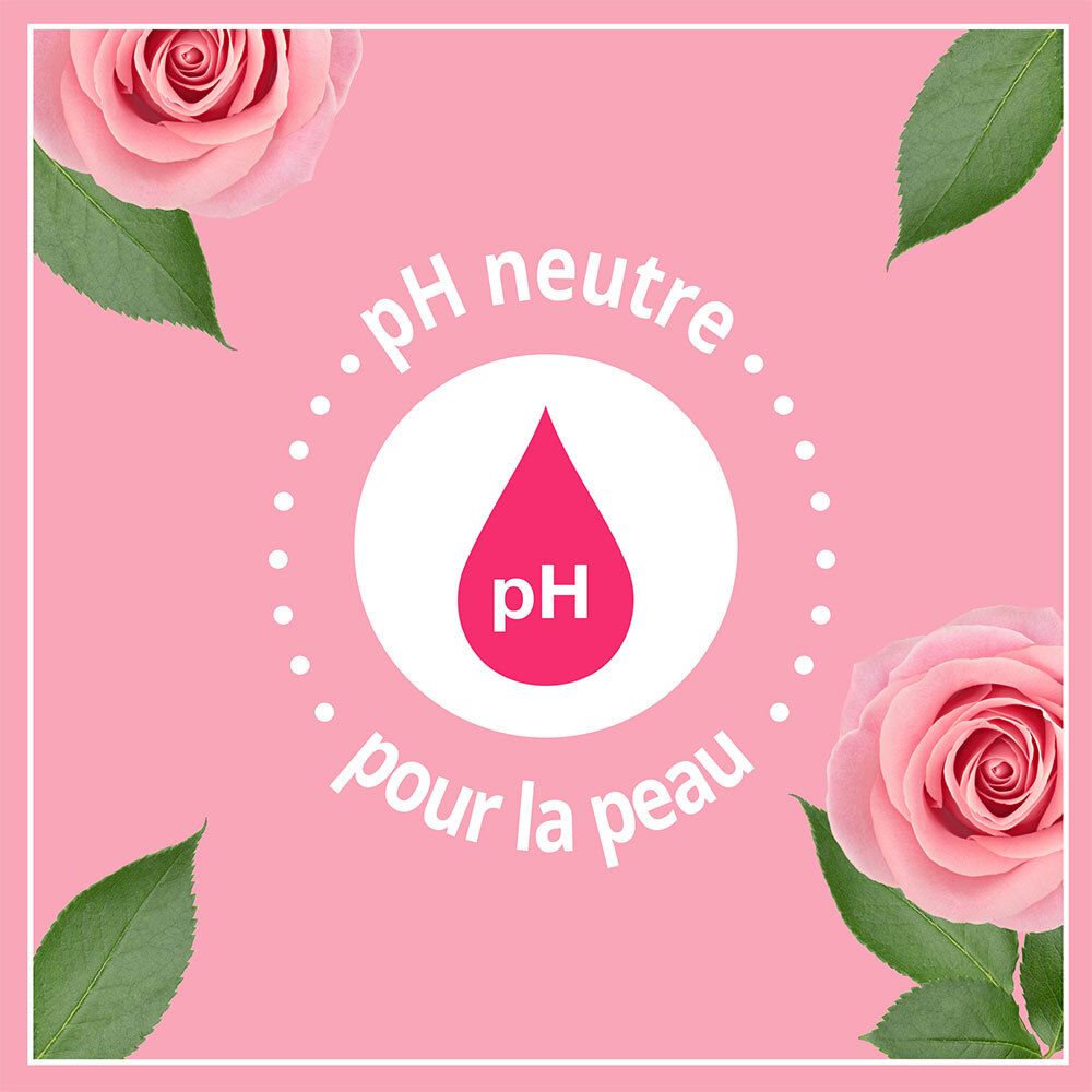 Le Petit Marseillais Douche Crème Hydratante à Rose Provence 250 ml
