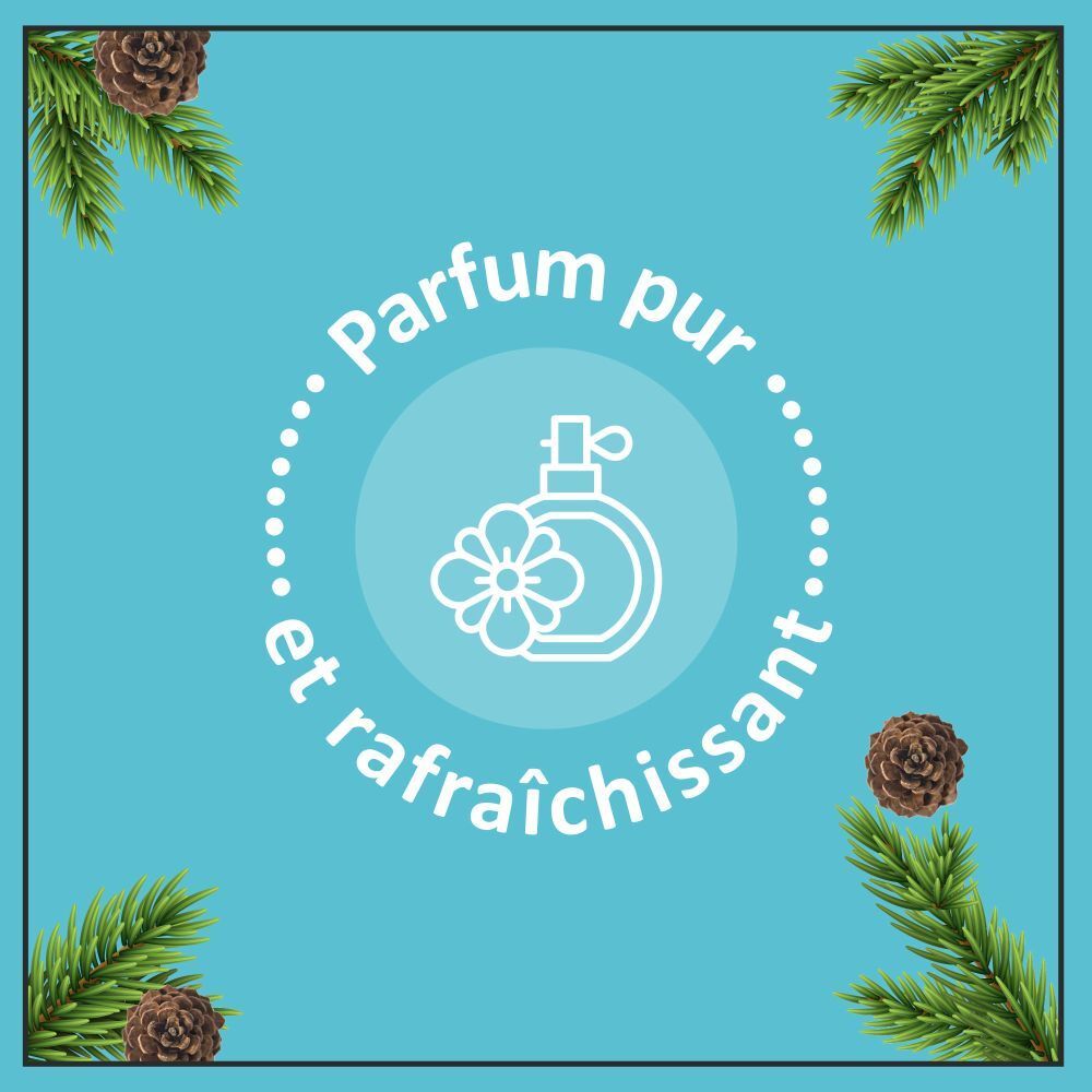 Fond turquoise avec cercle blanc et pictogramme flacon de parfum. Branches et cônes de pin.