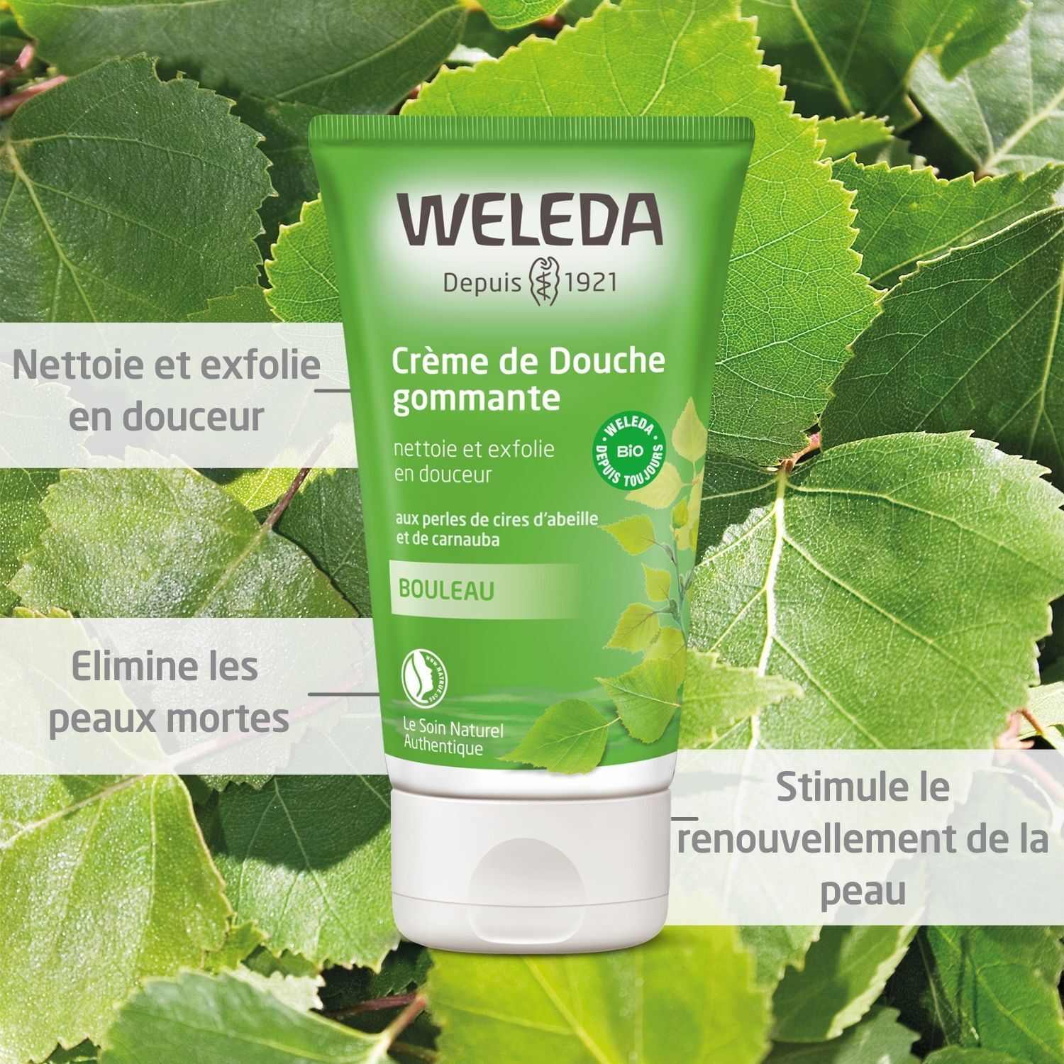 WELEDA Crème de Douche gommante au Bouleau