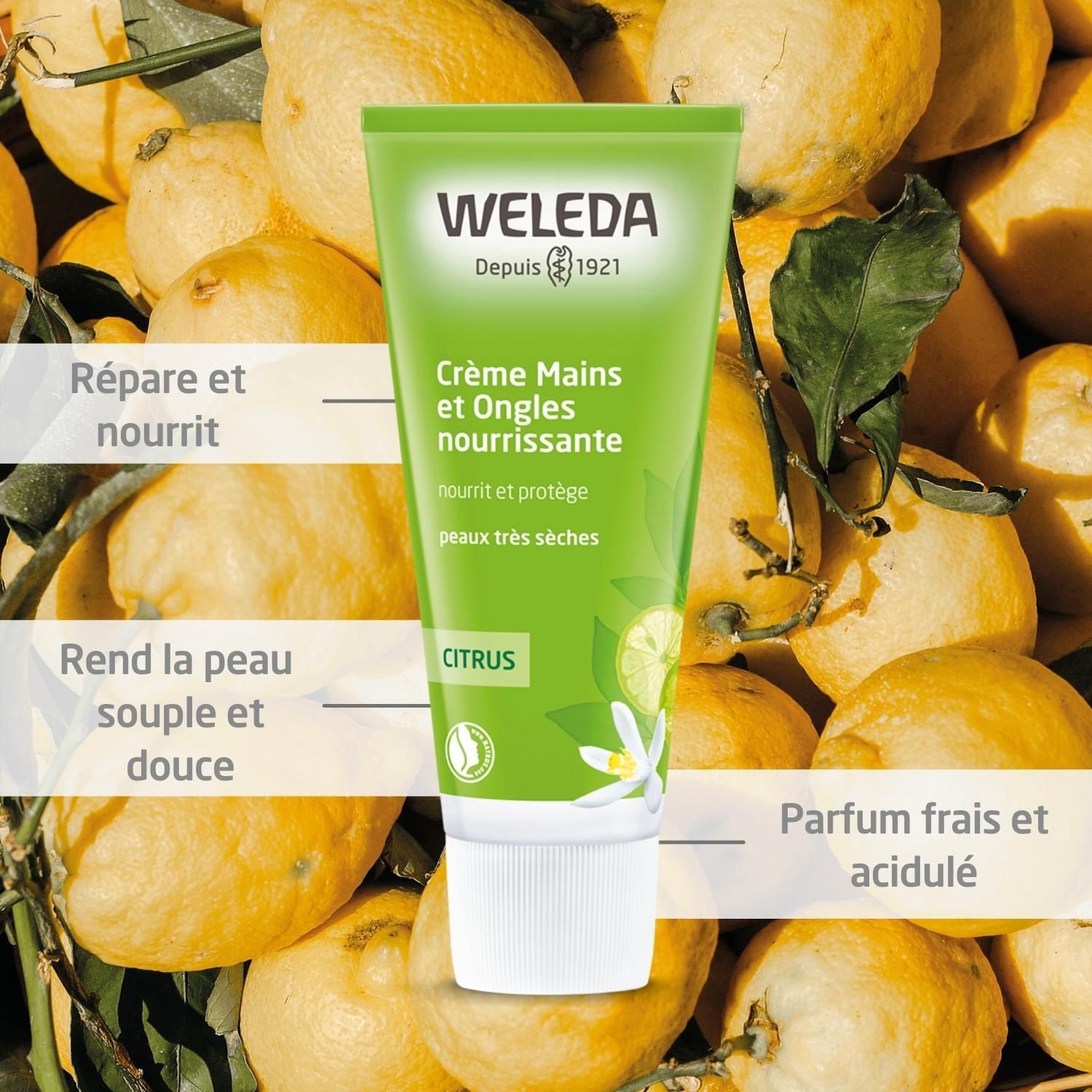 WELEDA Crème nutritive Mains et Ongles au Citrus