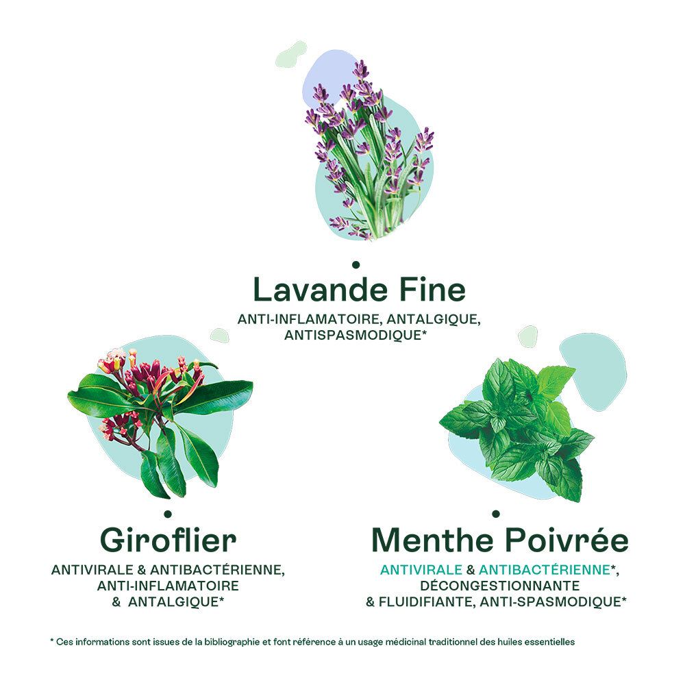 Illustrations de plantes: Lavande Fine, Giroflier, Menthe Poivrée. Texte: Anti-inflammatoire, Antalgique, Antispasmodique.
