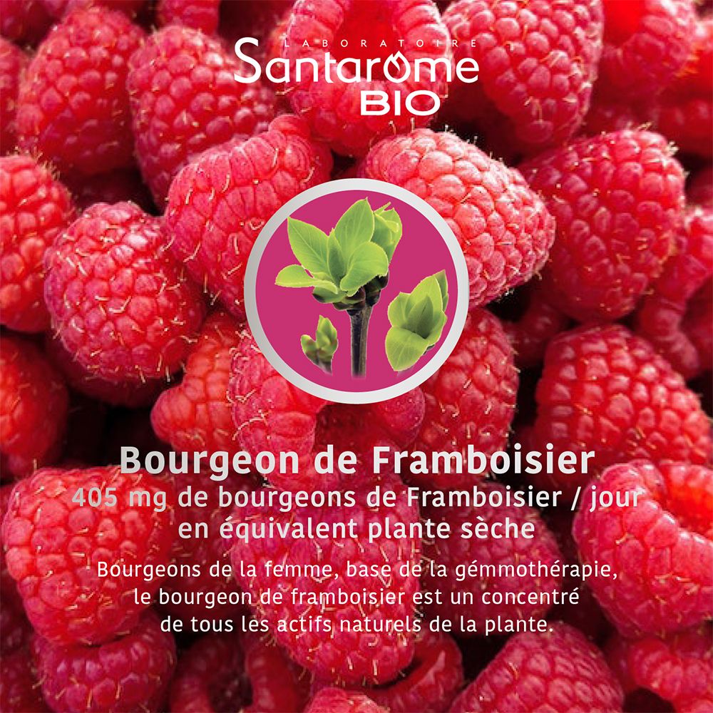 Santarome Bio Framboisier Bio Macérat de Bourgeons