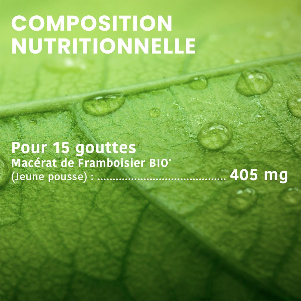 Santarome Bio Framboisier Bio Macérat de Bourgeons