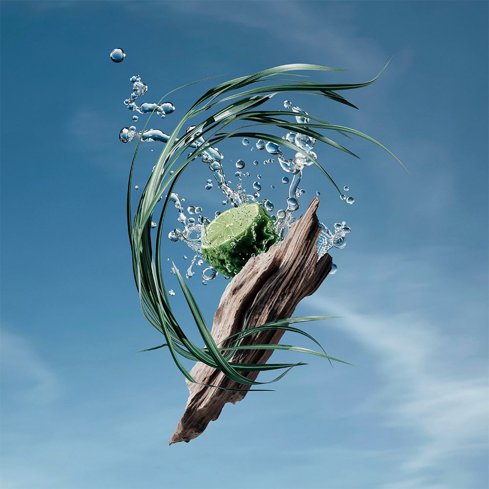 Composition de bois, citron vert, eau et herbes devant un ciel bleu.