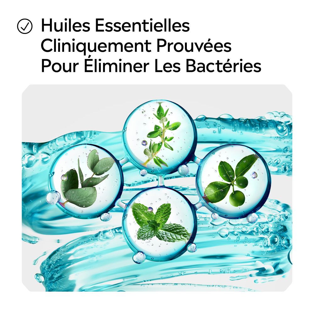 Illustration de quatre plantes dans l'eau. Texte : "Huiles Essentielles Cliniquement Prouvées Pour Éliminer Les Bactéries".