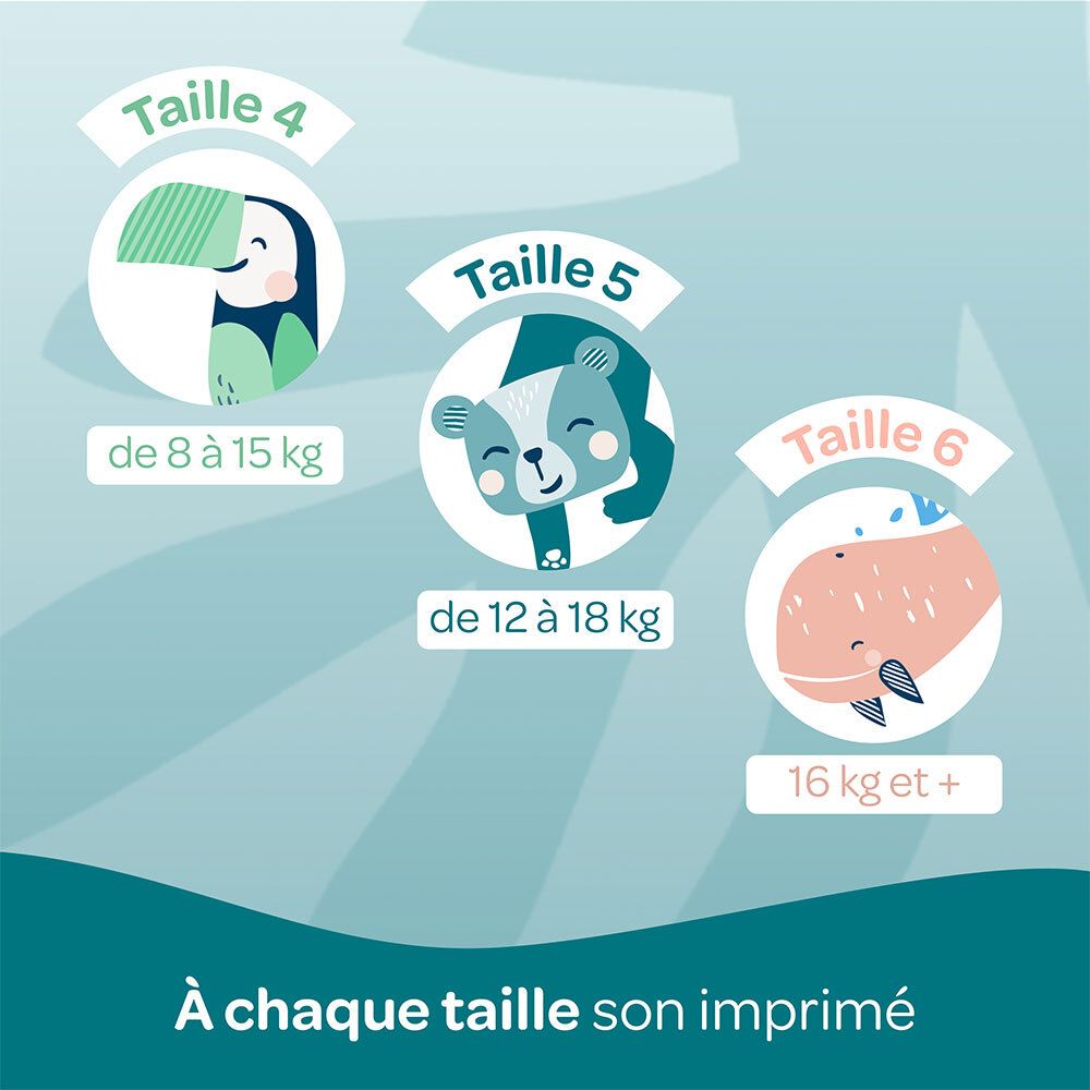 Aperçu des tailles de couches Biolane : Taille 4 (8-15 kg), Taille 5 (12-18 kg), Taille 6 (16 kg+). Illustrations.