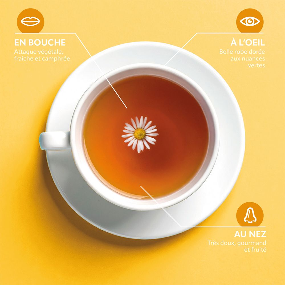 Tasse de thé avec fleur de camomille. Descriptions : goût, aspect, odeur. Fond jaune.