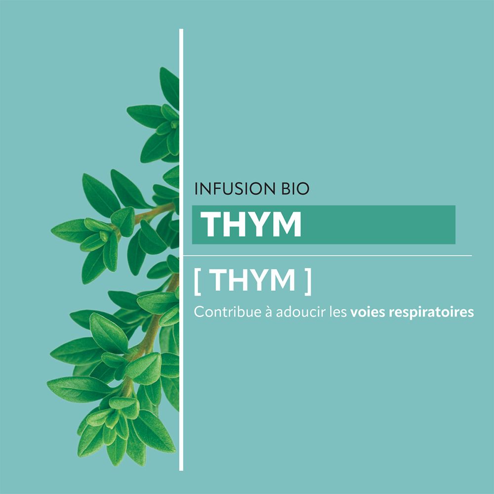 Graphique avec branche de thym et texte : Infusion Bio Thym. Aide à adoucir les voies respiratoires.