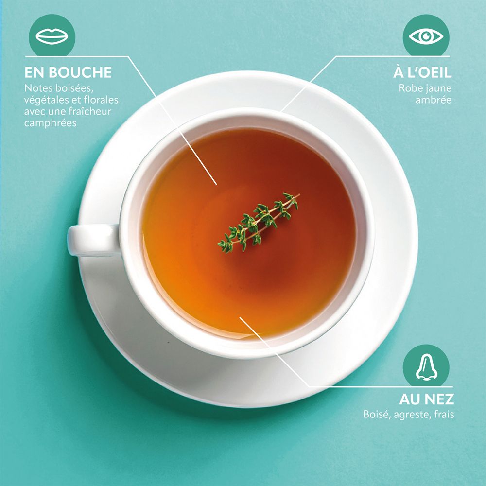 Tasse de thé avec thym. Inscriptions : En bouche, À l'oeil, Au nez.