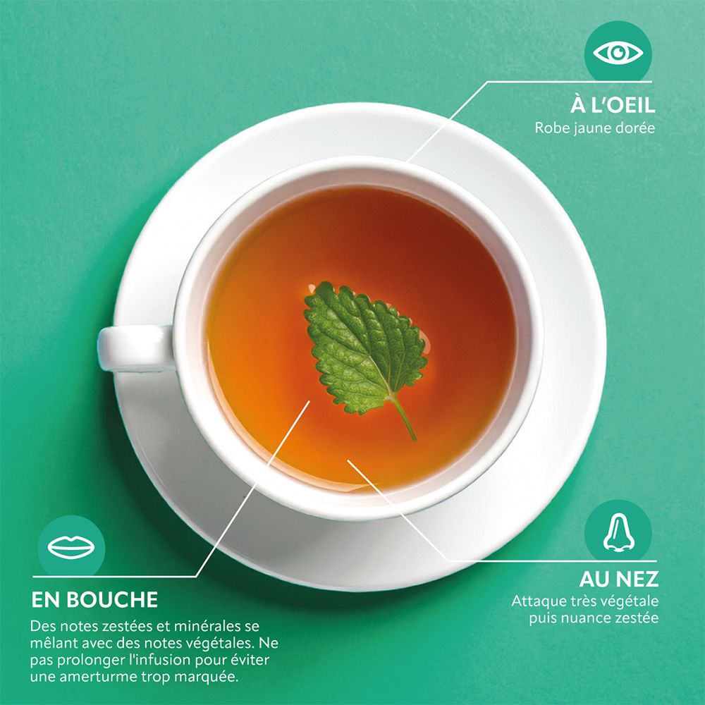 Tasse de thé, vue de dessus. Descriptions: à l'oeil, en bouche, au nez. Couleur jaune doré, goût, odeur.