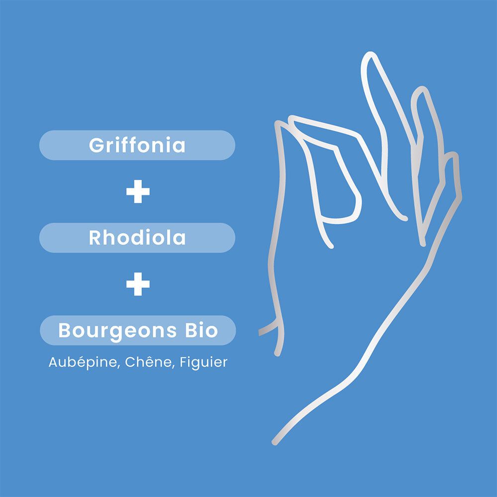 Graphique sur fond bleu. Griffonia, Rhodiola et Bourgeons Bio. Dessin de main.