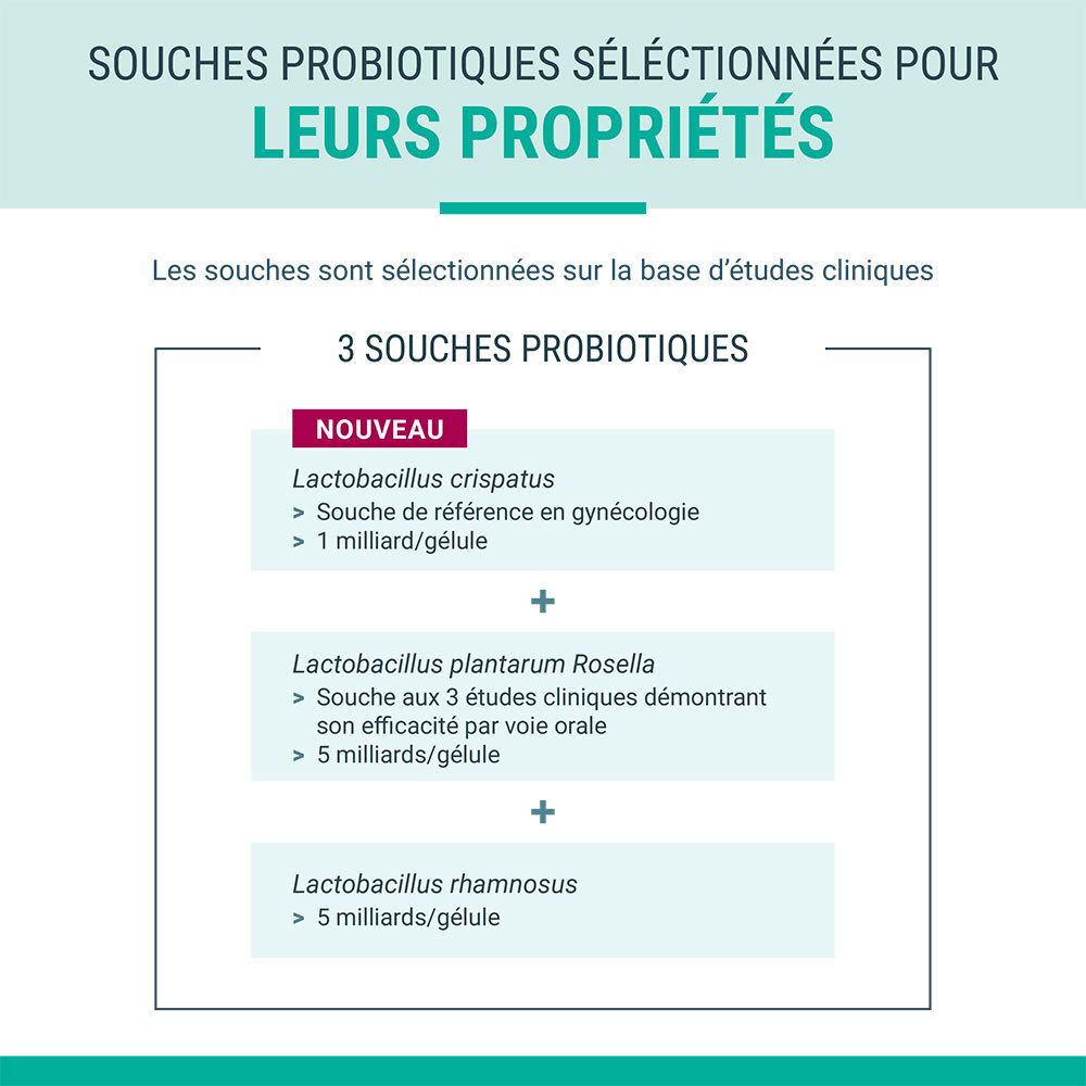 Infographie. 3 souches probiotiques. Lactobacillus crispatus, plantarum Rosella, rhamnosus.