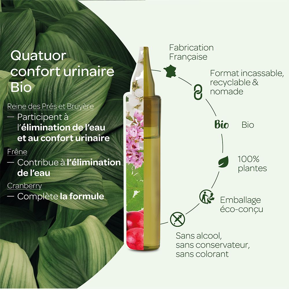 Graphique avec ampoule QUATUOR CONFORT URINAIRE BIO. Montre ingrédients et certifications : Bio, 100% plantes, recyclable, fabriqué en France.